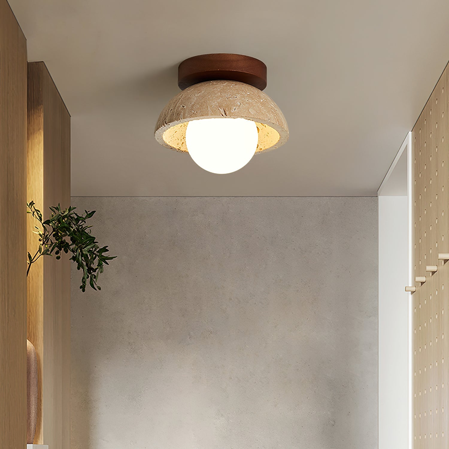 Ceiling light fixture in a room with neutral walls and a plant.