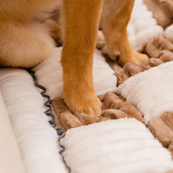 Soft Non-Slip Pet Furniture Protector Blanket – Hair-Resistant, Scratch-Proof & Machine-Washable Cover for Sofa or Floor 2