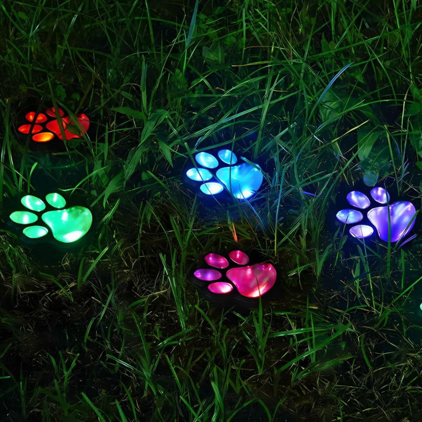 Colorful paw-shaped lights on grass at night