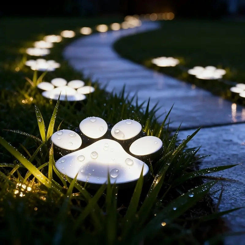 Solar-powered paw print lights on a grassy path at night