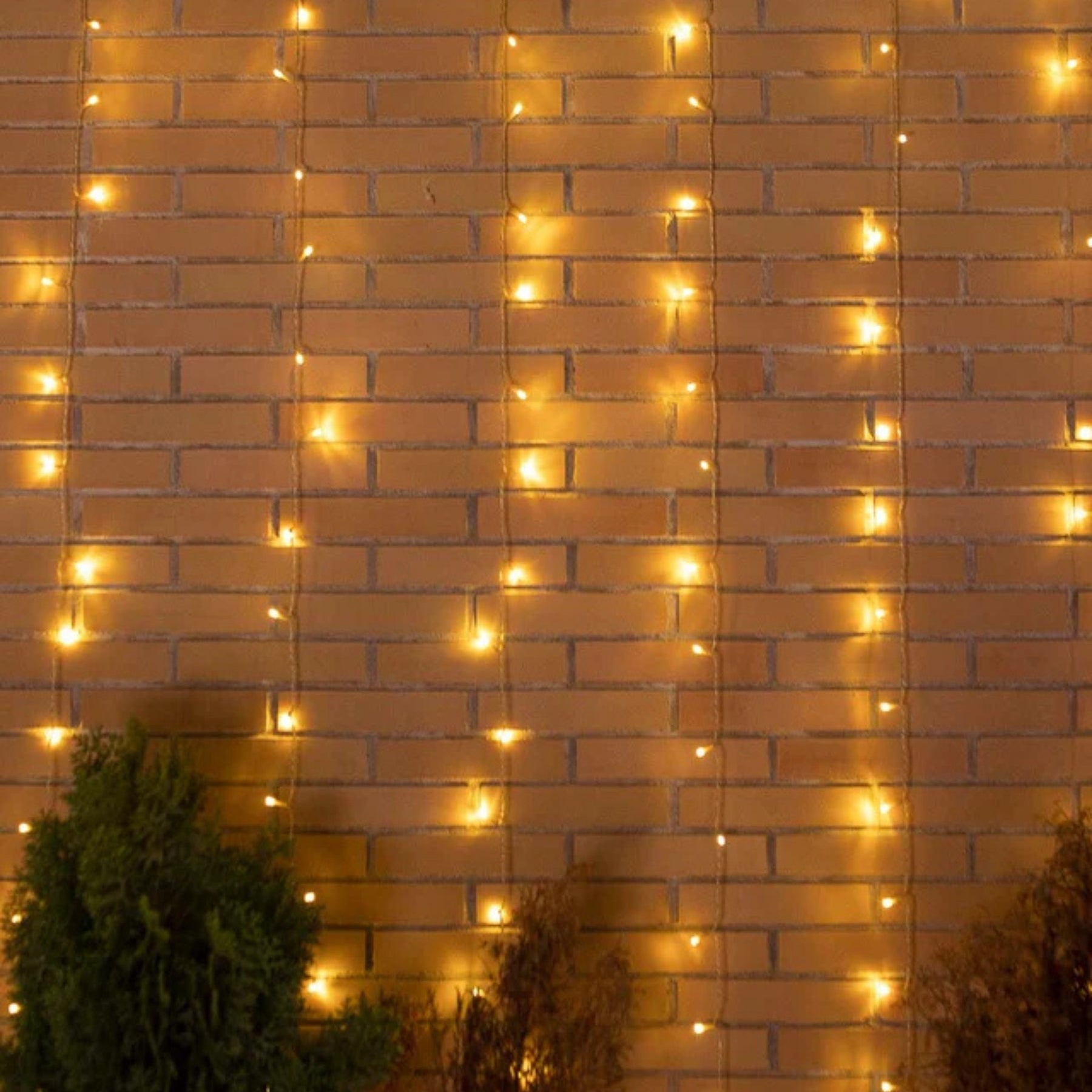 String lights on a brick wall with plants in the foreground