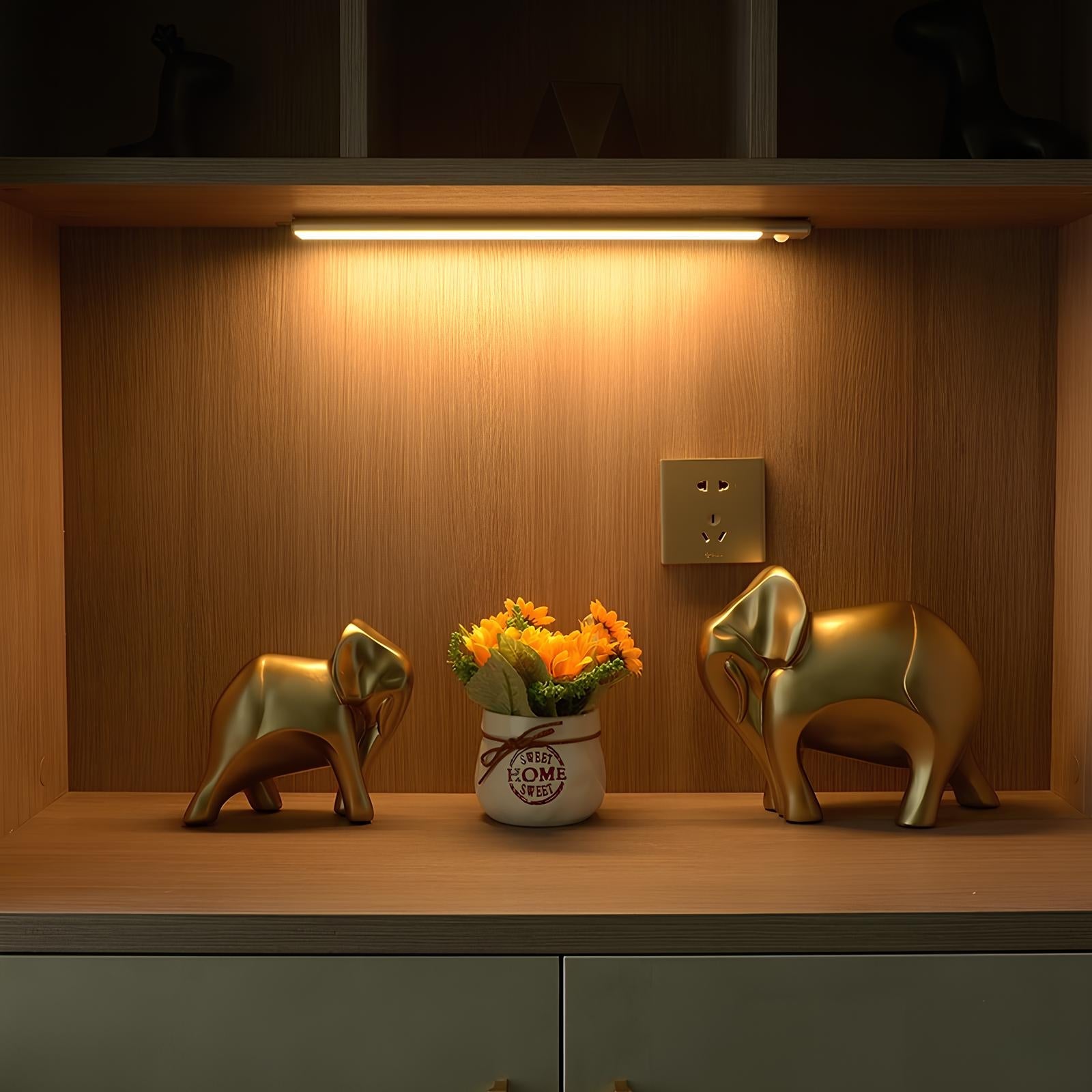 Two gold elephant figurines on a wooden shelf with a small potted plant labeled 'Aia Home'.