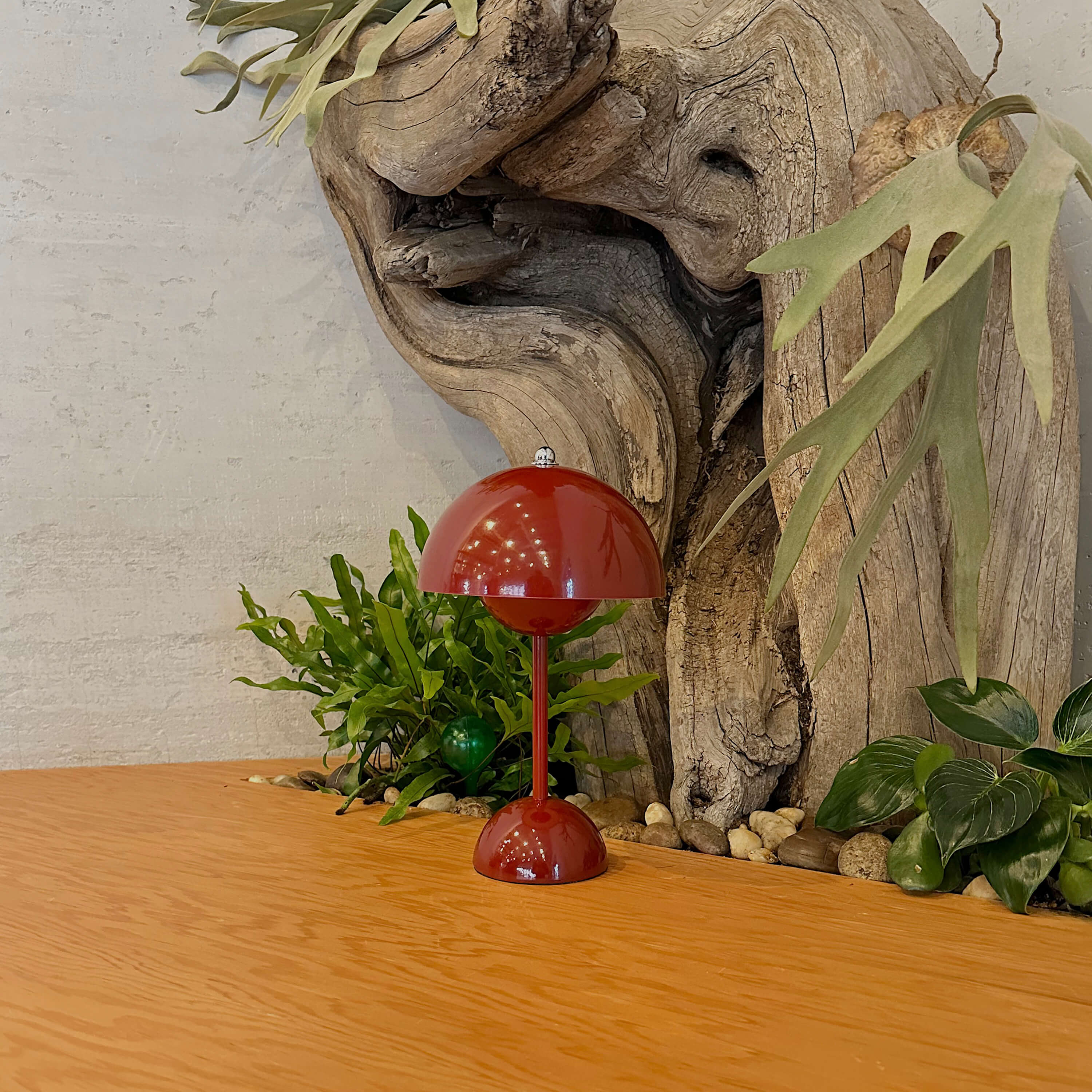 Red lamp with a wooden base and plants on a wooden surface