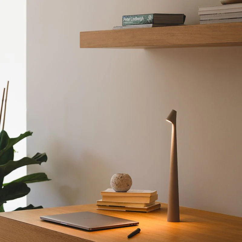 Desk setup with a lamp, books, and a plant in a minimalistic room.