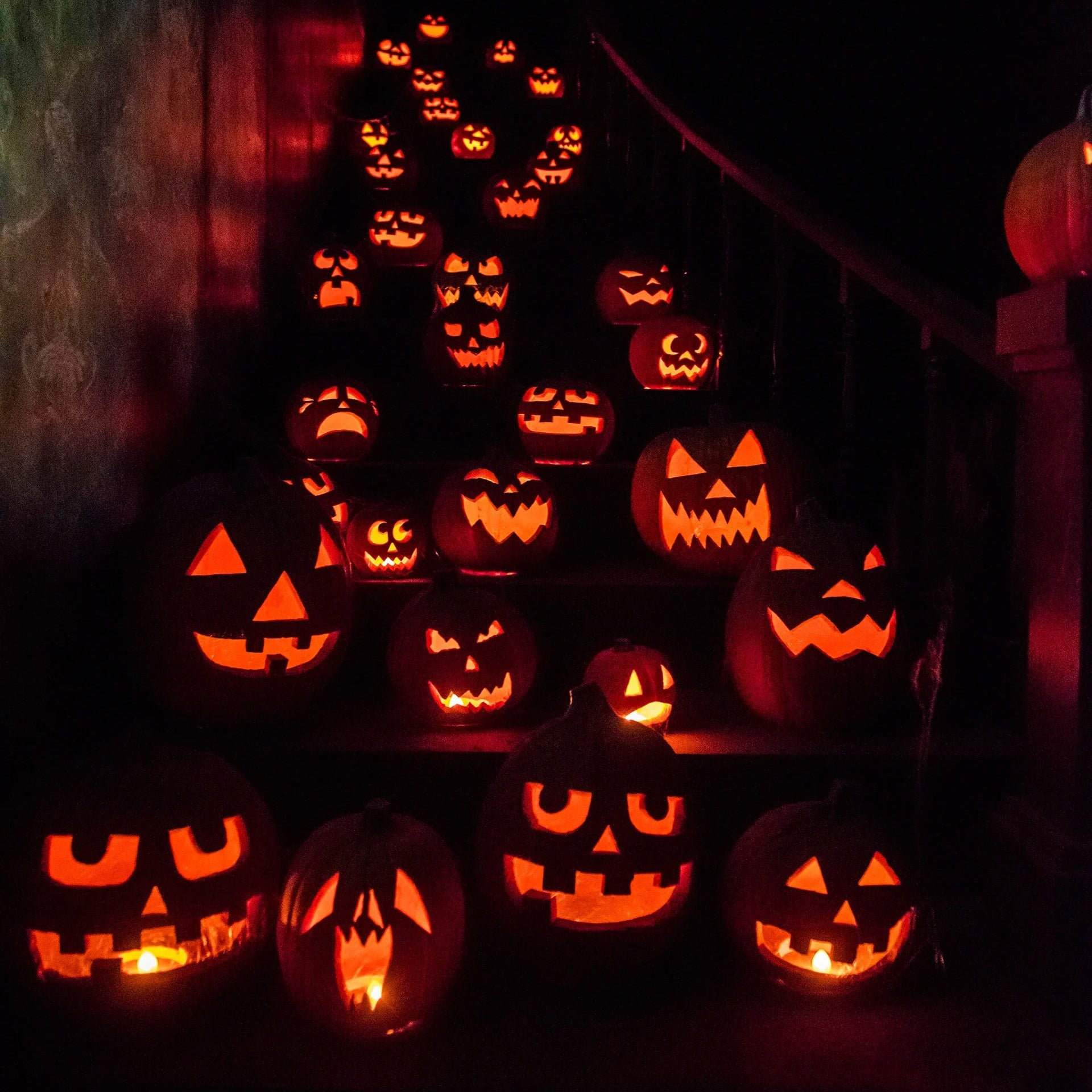 Collection of carved Halloween pumpkins with various designs in a dark setting.