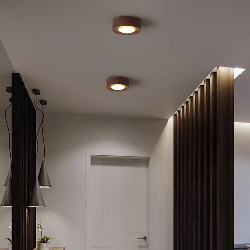 Modern interior design with ceiling lights and a door.